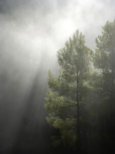 ほうれい線をヒアルロン酸で持続的に改善する方法は？