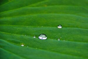 美容点滴の種類と効果を比較するとどれが最適？