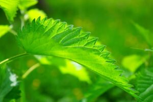 睡眠不足が老けるメカニズムとは何か？