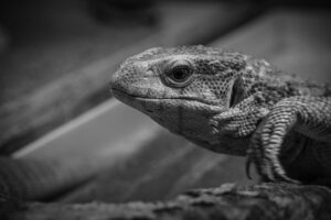 腸内環境の悪化を示すサインにはどんなものがある？