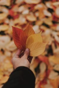 年齢に負けない若々しさを保つ方法とは？