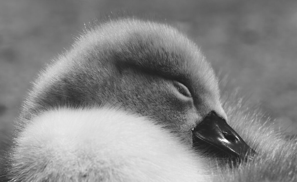 睡眠が美容に与える年齢別の影響とは？