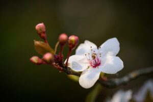 デリケートゾーンの臭いに悩む更年期女性のための対策は？