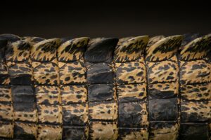 更年期における肌のかゆみの原因とその対策は？