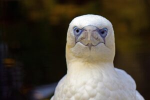 更年期に美容皮膚科で相談する際に何を聞くべき？