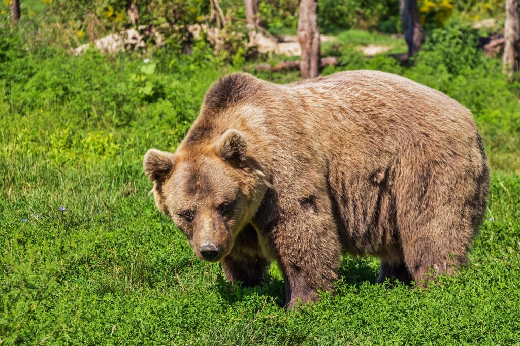 目の下のクマの種類を見分ける方法は？