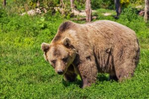 目の下のクマの種類を見分ける方法は？